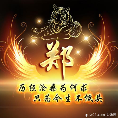 杨姓氏头像大全2023最新版的 10