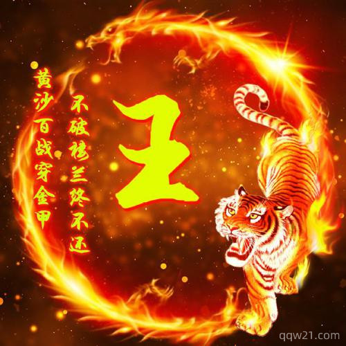 姓段的微信老虎头像大全 2