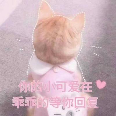 2023年微信头像带王字图片 9