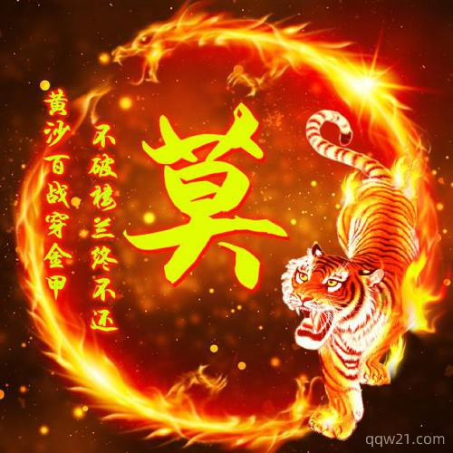 用老虎做微信头像好吗