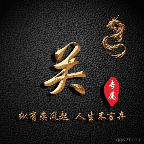 2023姓氏头像申字 2