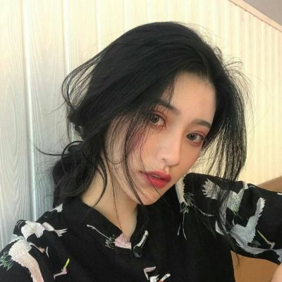 好看的狼图片头像图片