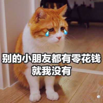 可爱有趣的搞笑图片适合微信头像 1