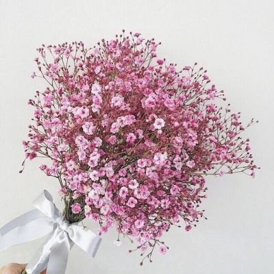 鲜花头像图片大全 5