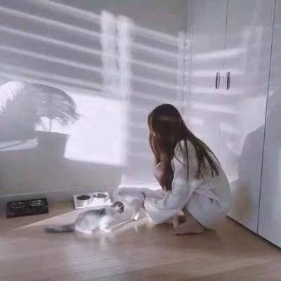 2023年最火的头像图片好看 8