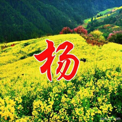 蓝天白云微信头像 8