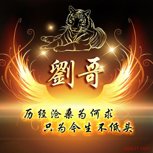 霸气头像国旗姓氏图像 6