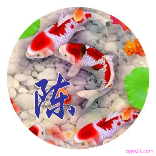 姓氏微信头像图片 1