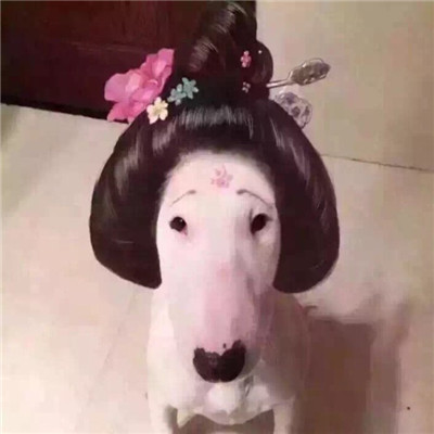 头像丑搞笑图片 2