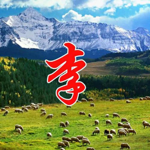怎么自己做姓氏头像 1