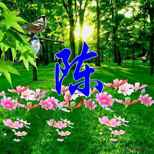 2023姓氏杨头像图片大全 2