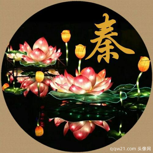 怎么自己做姓氏头像 8
