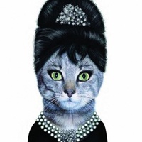 猫咪卡通头像 7