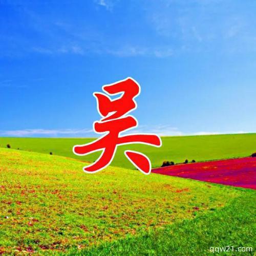 2023年最火微信头像姓氏王 5