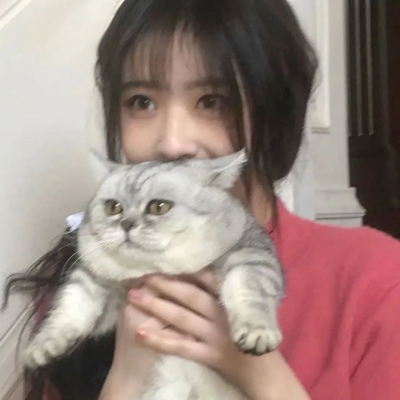 天猫店铺头像logo 3