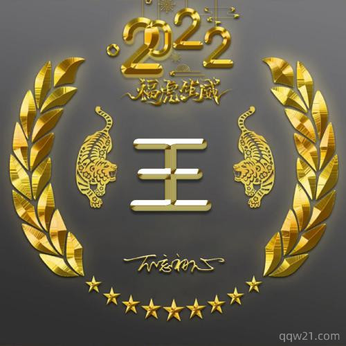 王姓氏微信头像男士专用 6