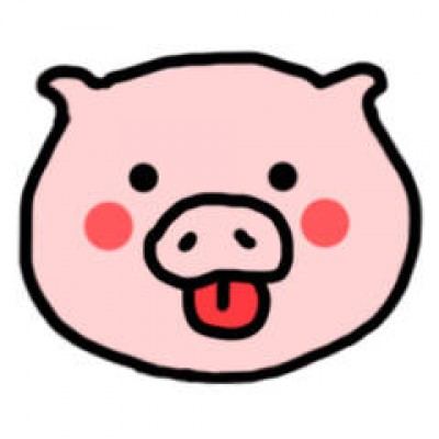 属猪的用什么微信头像提升运气 4