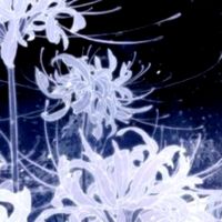 2023新年头像最新版 2