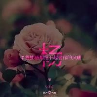 2023张姓氏头像带字图片微信 9