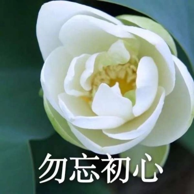 二哈沙雕头像 8