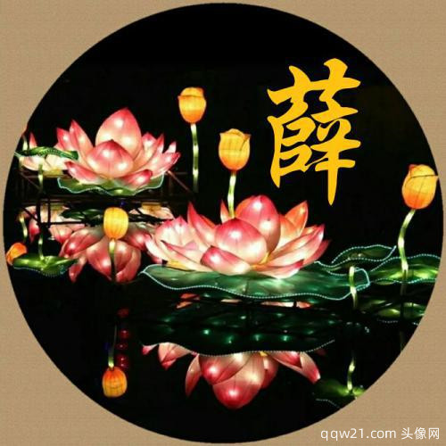 虎年姓氏微信头像第一期 7
