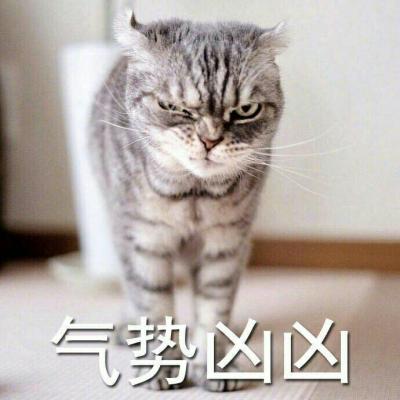 头像越怪本人越帅动物 3