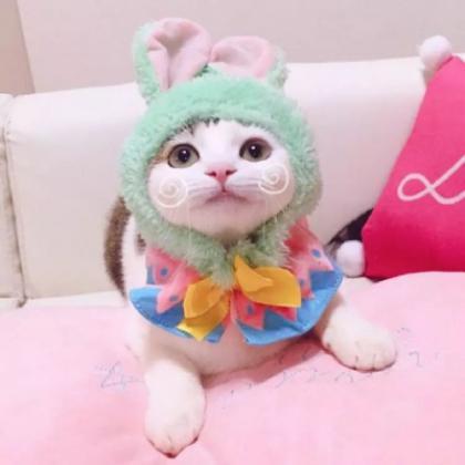 可爱的小猫咪头像 2