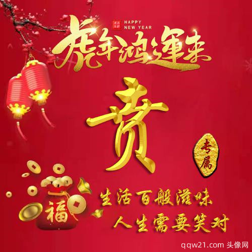 冰墩墩姓氏头像李 4