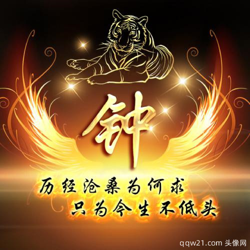 2023年最火姓氏头像吴姓 5