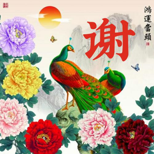 2023年微信头像女花朵