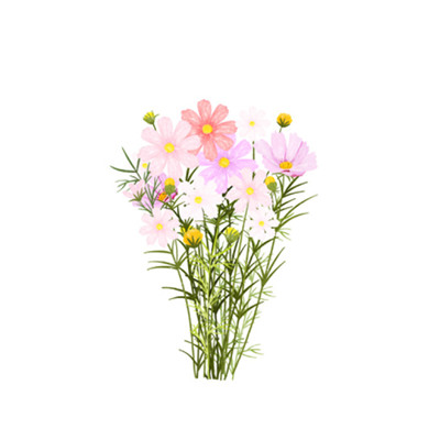 鲜花图片做微信头像 9