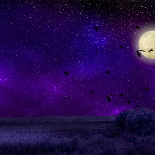 微信头像图片大全风景星空 3