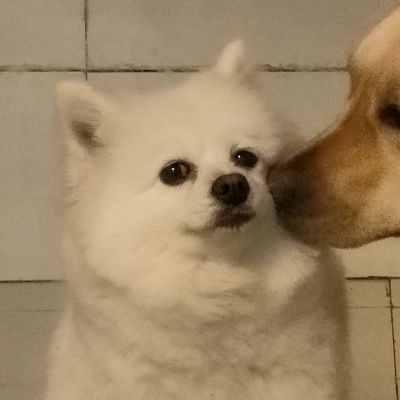情侣头像不容易被发现 1