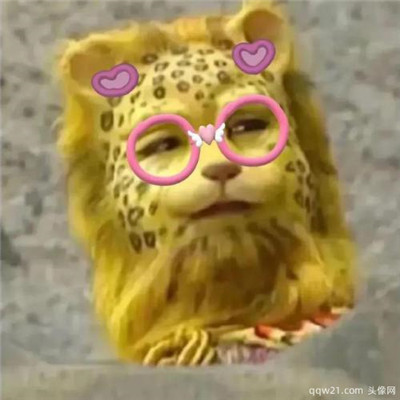 属兔吸引金钱的微信头像 3