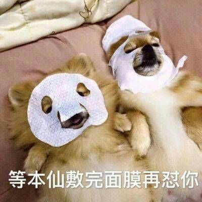微信朋友圈头像下文字怎么设置 1