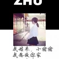 虎年姓氏微信头像林 5