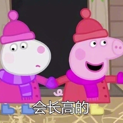 猪小屁头像 5
