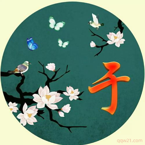 姓氏微信头像图片大全鲍 2