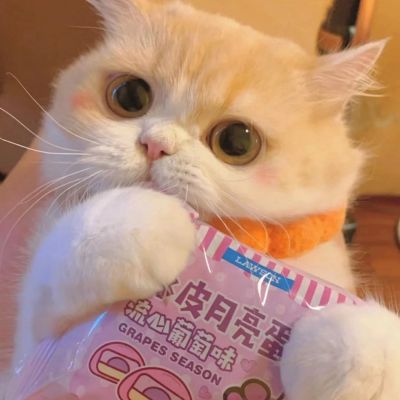 网名喜欢的少年是你