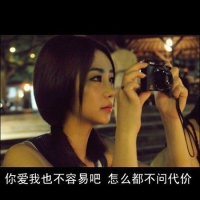 猪的头像图片 7