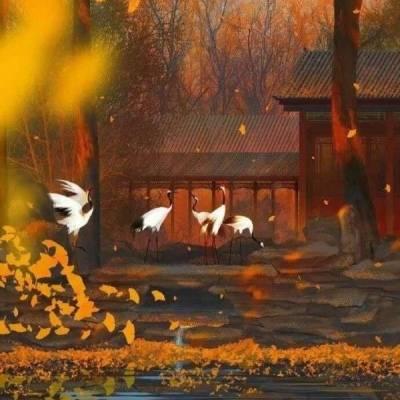 ins风手绘头像