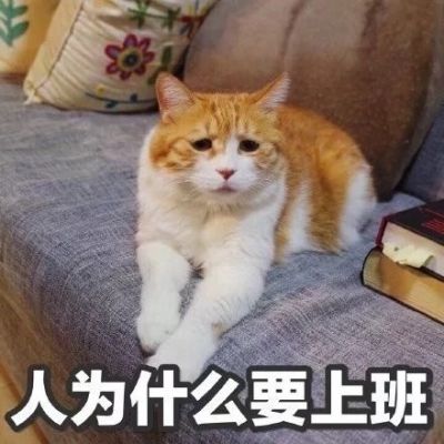 2023最新虎年微信头像 1