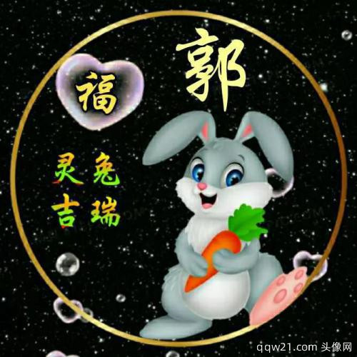 鼠年姓氏微信头像段 4