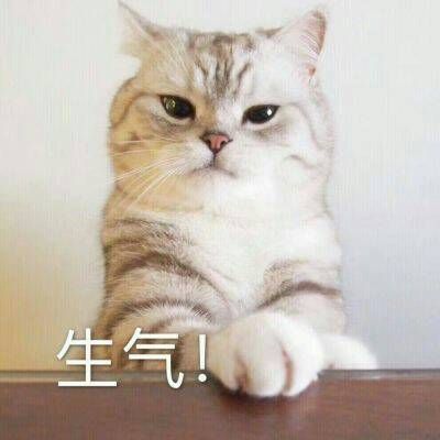 独立独行的网名男