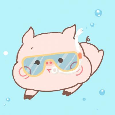 小猪微信头像图片大全可爱 8