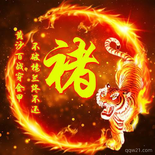 姓段的微信老虎头像大全 9