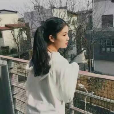 微信头像可爱兔子