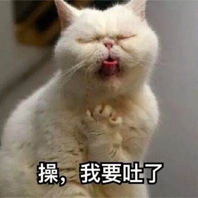 怪头像图片猫 2
