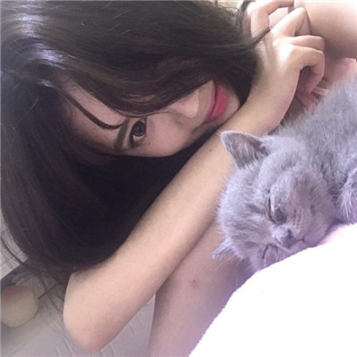 猫猫可爱头像 1