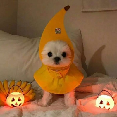 qq头像沙雕搞怪奇葩 7